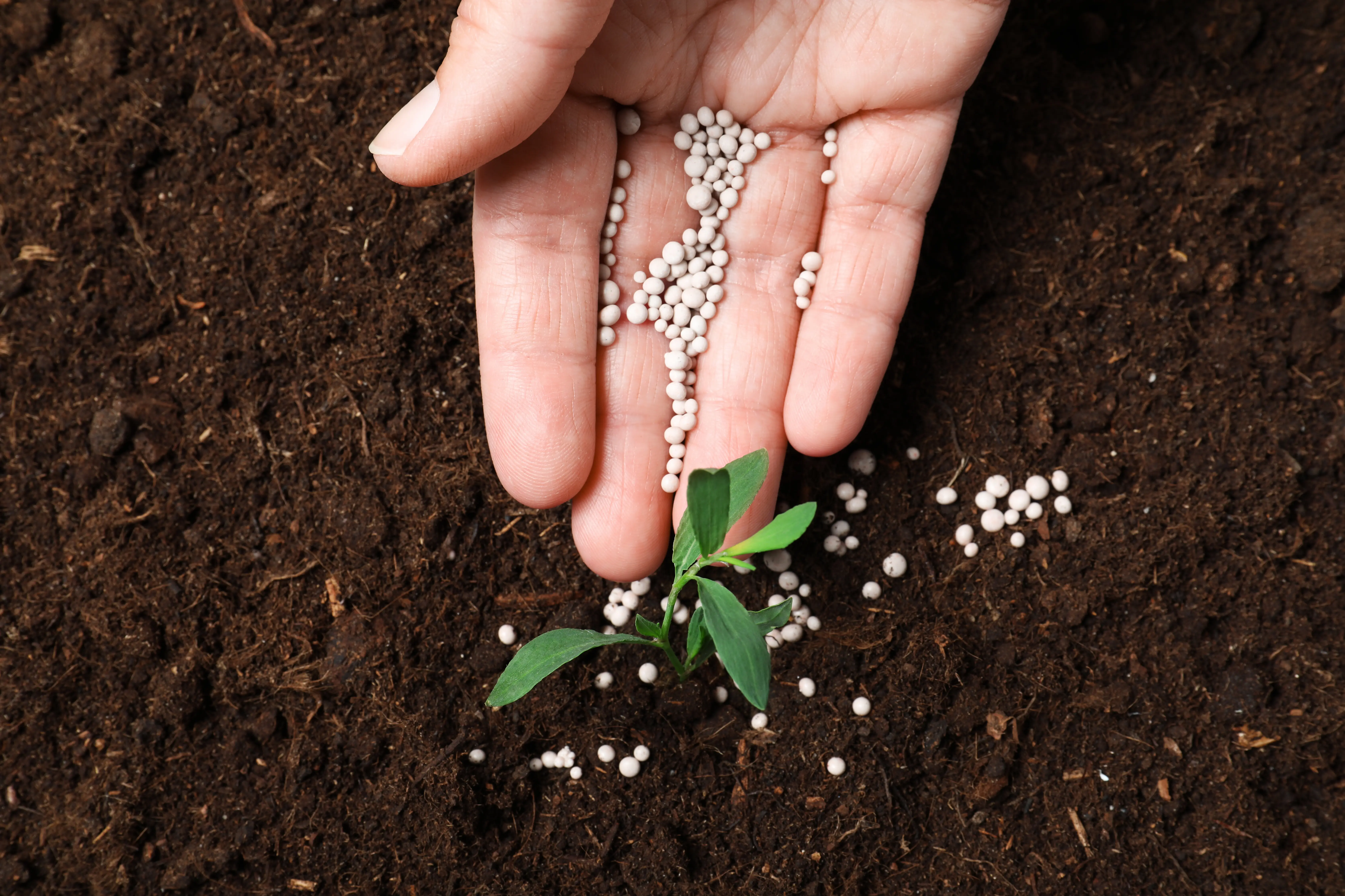 Fertilizantes